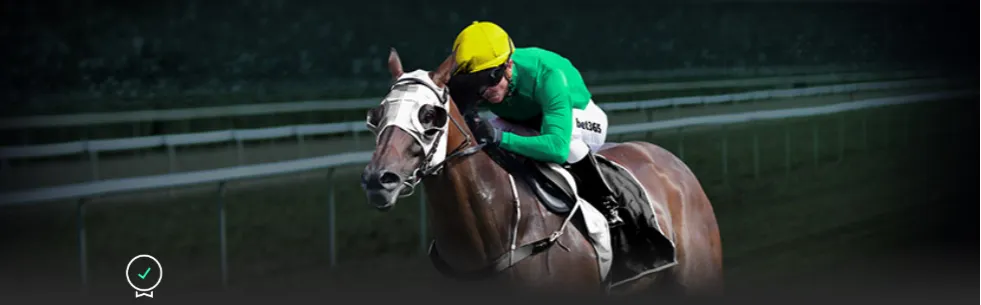 霍芬海姆负,于法兰克福,德甲第,Bet365官网,Bet365注册,Bet365开户,Bet365优惠